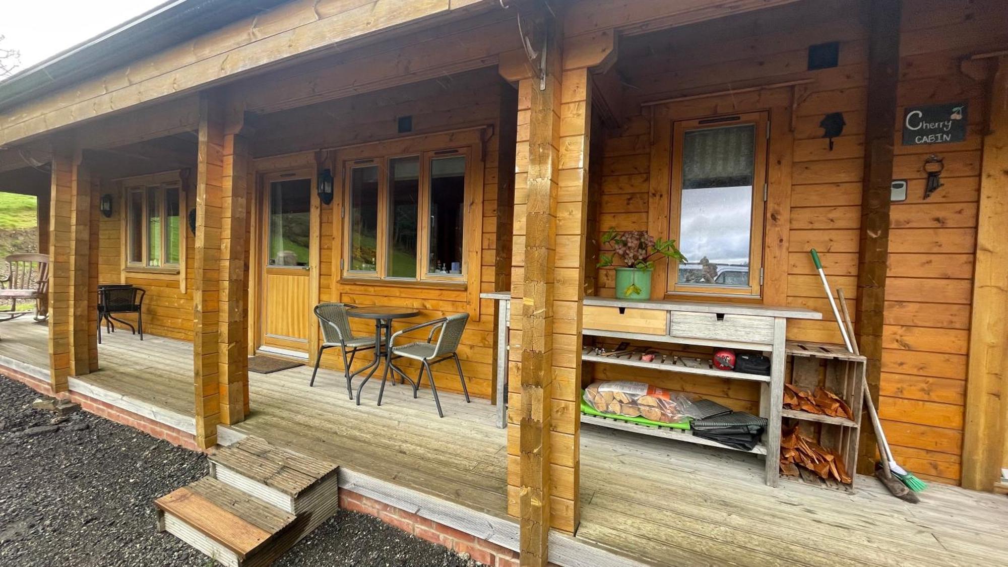 Blossom Cabin - Little Log Cabin In Wales Ньютаун Екстер'єр фото